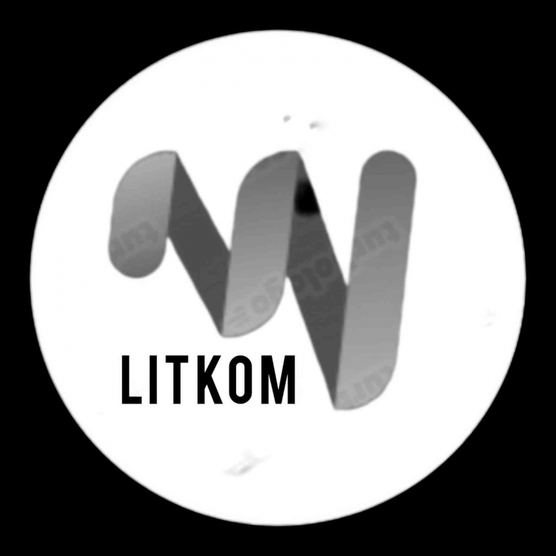 Pembentukan Pengurus LitKom