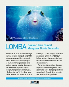 Seekor Ikan Buntal Menguak Dunia Terumbu Karang