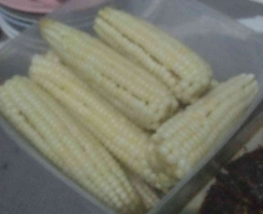 Reuni Rasa: Jago Leke, Mangga Hukuman, dan Wua Parongge