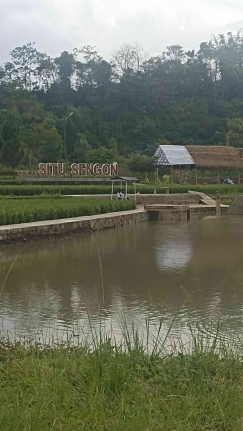 Situ Sengon: Dari Bekas Galian Pasir Menjadi “Hidden Gem” Ekowisata Lokal